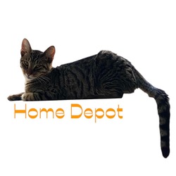 Thumbnail photo of Home Depot #1