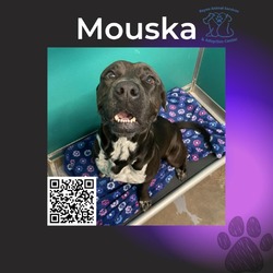 Photo of Mouska