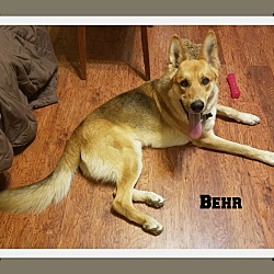 Photo of Behr