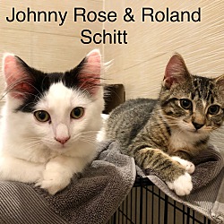 Thumbnail photo of Johnny Rose #3