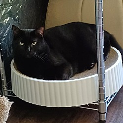 Photo of Jet