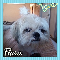 Photo of Flara