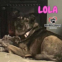 Thumbnail photo of Lola (Courtesy Post) #3