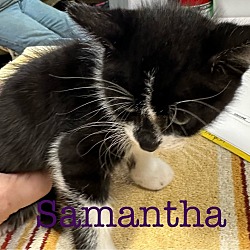 Thumbnail photo of Samatha #2