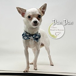 Thumbnail photo of Dan Dan #2