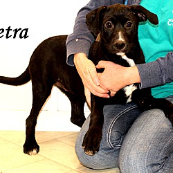 Thumbnail photo of Petra ~ meet me! #1