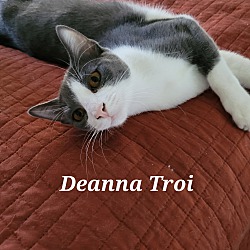 Photo of Deanna Troi