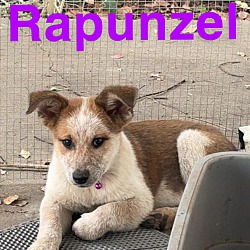Photo of Rapunzel