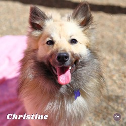Thumbnail photo of Christine #1