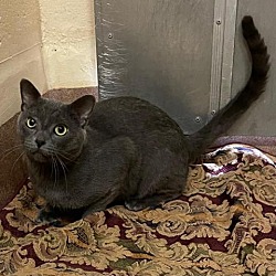 Photo of Grayson
