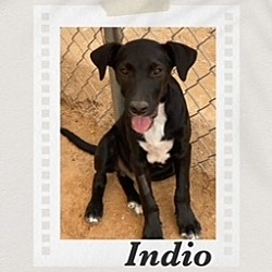 Photo of Indio