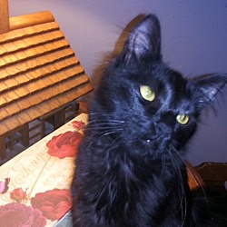 Photo of Cash