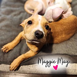 Photo of Maggie May