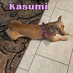 Thumbnail photo of Kasumi #2