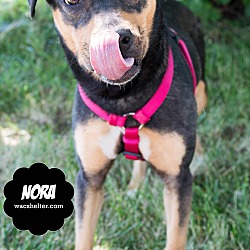 Thumbnail photo of Nora #2