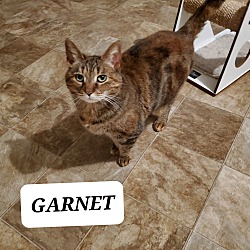 Photo of GARNET