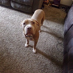 Photo of jack