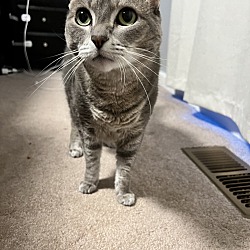 Photo of Bella