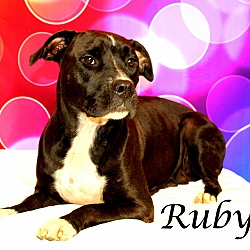 Thumbnail photo of Ruby ~ meet me! ~ #2