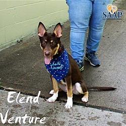 Thumbnail photo of Elend Venture #3