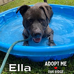 Thumbnail photo of Ella #3