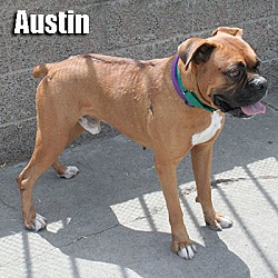 Thumbnail photo of Austin #3