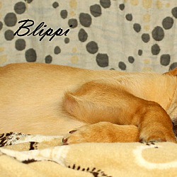 Thumbnail photo of Blippi ~ meet me! #4