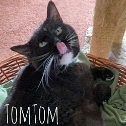 Photo of TomTom