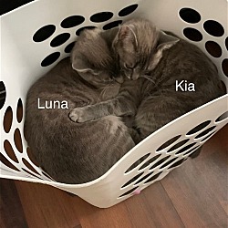 Thumbnail photo of Kia and Luna #2