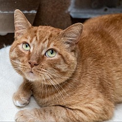 Photo of Eugene