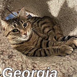 Photo of Georgia