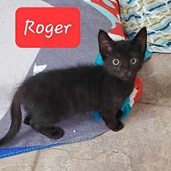 Photo of Roger