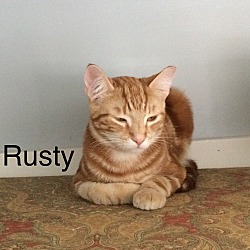 Photo of Rusty