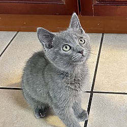 Photo of Gatsby