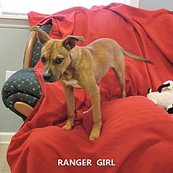Thumbnail photo of Ranger Girl #3