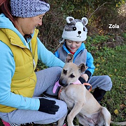 Thumbnail photo of ZOLA #1