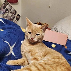 Photo of Pepito