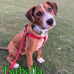 Thumbnail photo of Isabella #2