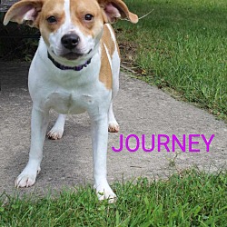 Thumbnail photo of Journey #2