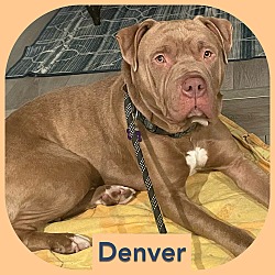 Thumbnail photo of Denver #1