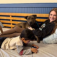 adopt a pet