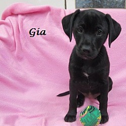 Thumbnail photo of Gia #1