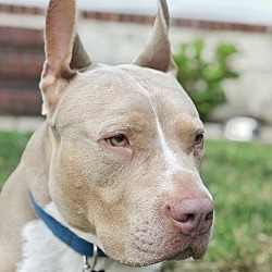 Photo of Buster