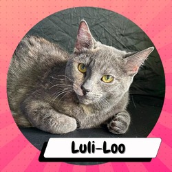 Thumbnail photo of Luli-Loo #2