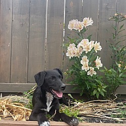 Photo of Coco