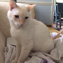 Photo of Tom