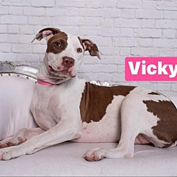 Thumbnail photo of Vicky #4