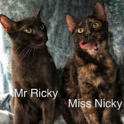 Photo of Miss Nicky and Mr Ricky at Martinez PFE May 4th