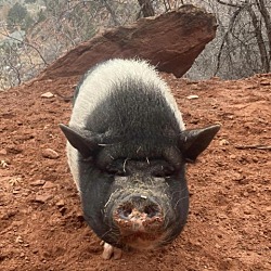 Photo of Ella