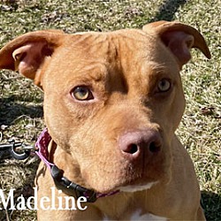 Photo of Madeline
